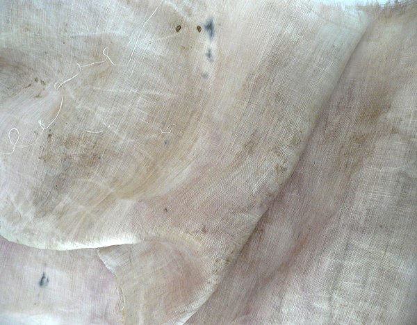 Cotinusdye-sequoiabundle