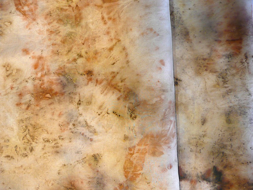 Montbretia-silk-lge2