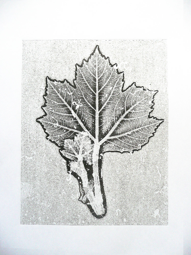 Leaf5