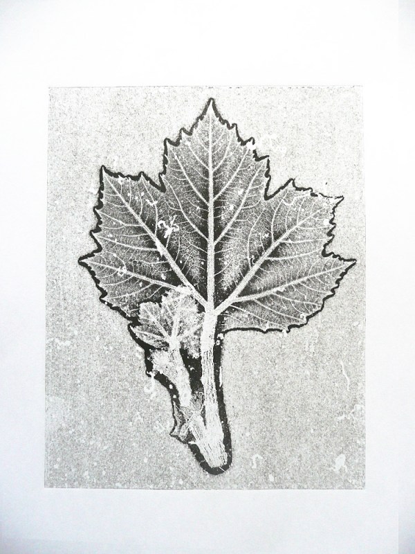 Leaf5