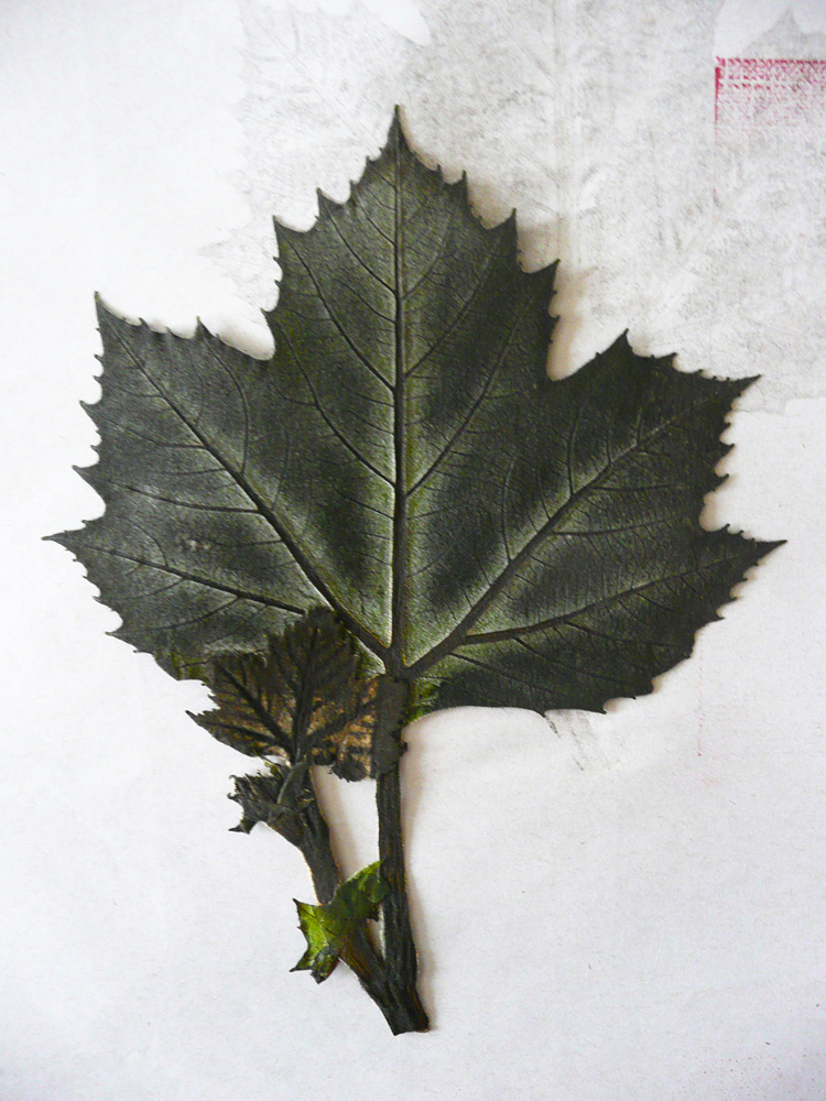 Leaf9