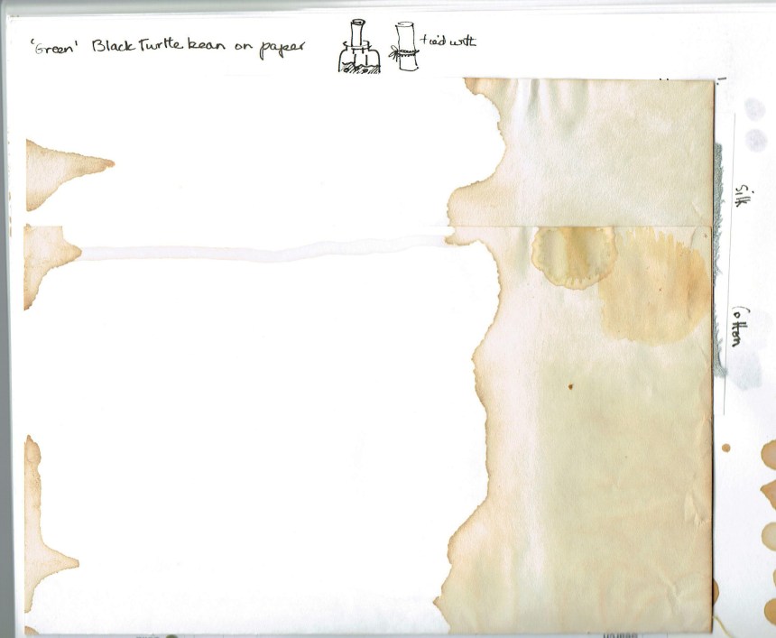 Green-turtle-bean-on-paper