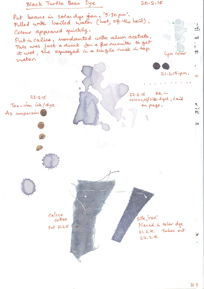 Turtle-Bean-dye-test-page