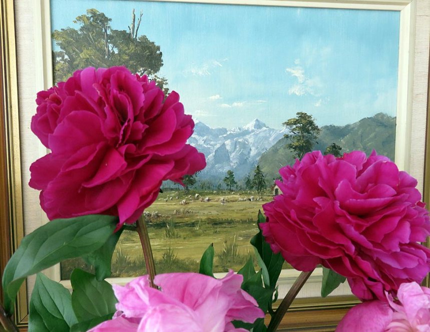 Peony-picture.jpg